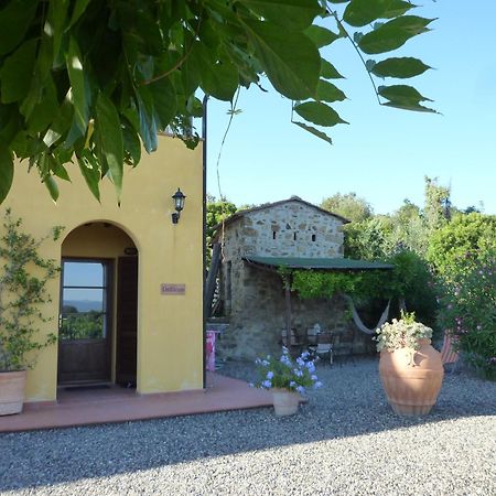 Serra Destri Apartment Riparbella Exterior photo